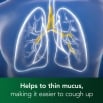 Image showing a drawing of lungs with the caption: Helps to thin mucus, making it easier to cough up (refering to Benylin Mucus Cough Max Menthol)
